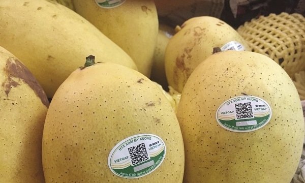 “Bệ phóng” cho trái cây Việt xuất khẩu vào thị trường Mỹ